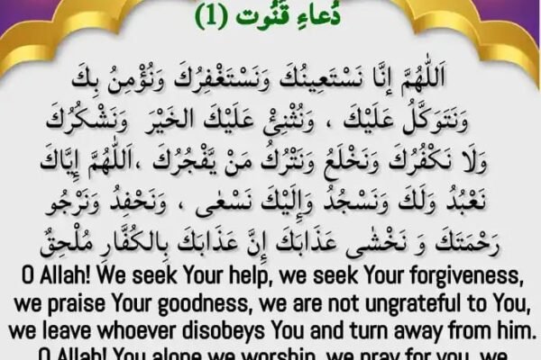 whatsapp image 2026 05 11 at 12.31.41 am